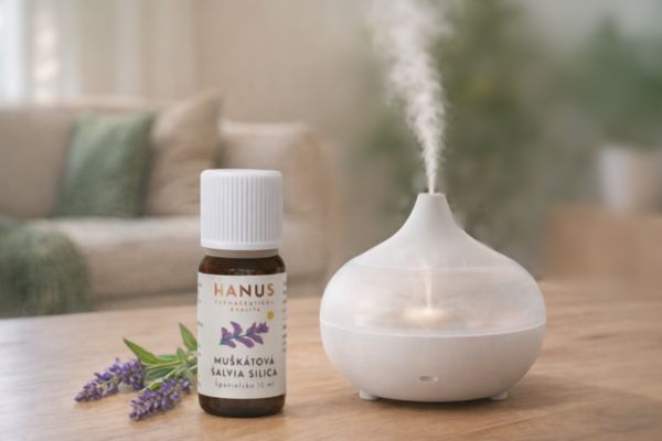 Hanus muškátová šalvia