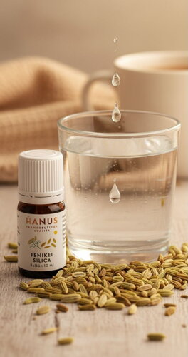 Hanus fenikel