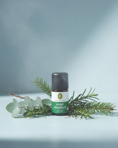 primavera esencialny olej na lepšie dýchanie s eukylaptom