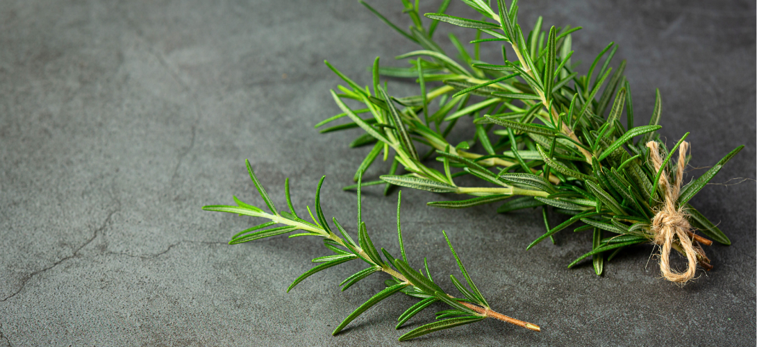 Rozmarín, bylinka, ktorá prebúdza vlasy k život