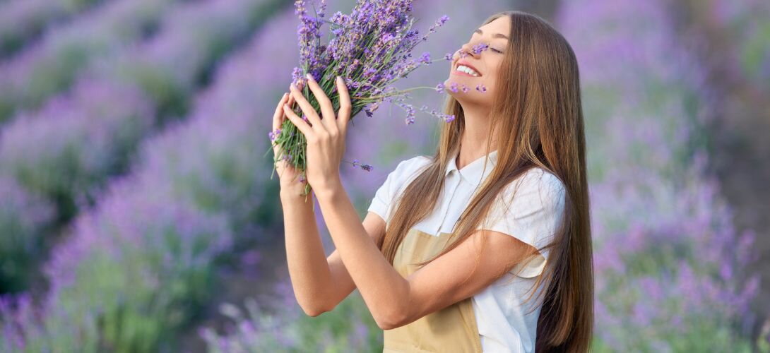 Levanduľa – účinky, použitie a sila levanduľového oleja