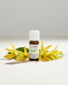 Hanus Esenciálny olej Ylang Ylang, silica, 5 ml