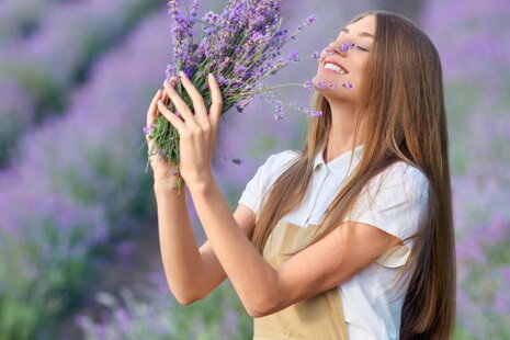 Levanduľa – účinky, použitie a sila levanduľového oleja